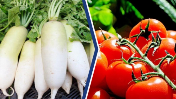 যেসব সবজি দ্রুত বাড়ে